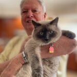 Gemma the trans cat